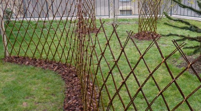 clôture de jardin osier hiver
