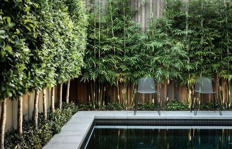 déco bambou jardin bassin eau 
