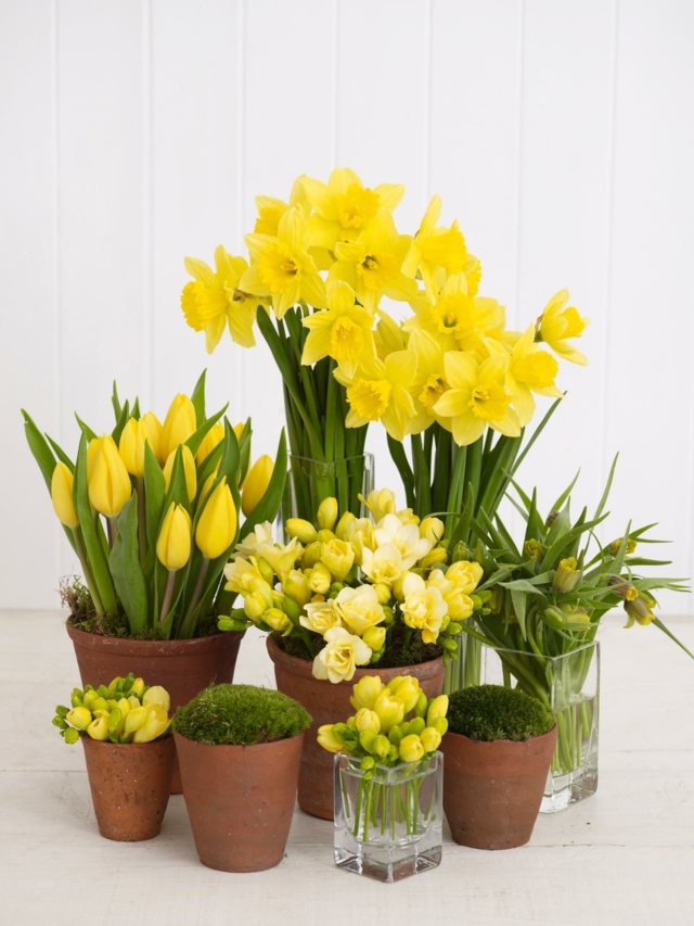 printemps idée déco salon maison fleurs frais jaunes