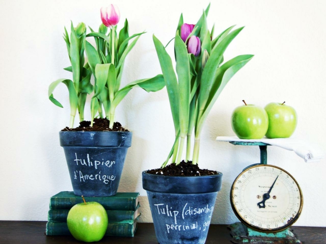 pâques idée originale de décoration pot de fleurs tulipes pommes