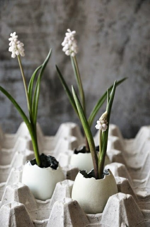 oeufs en forme de vase fleurs idée moderne 