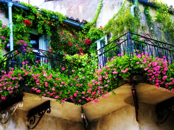 jardin balcon idee fleurs