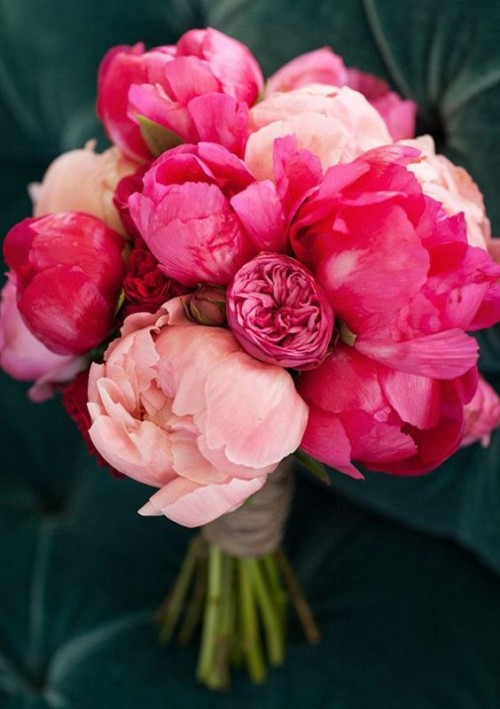vue bouquet pivoines rose