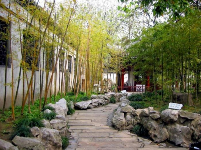 jardin plantation bambou déco pierre 