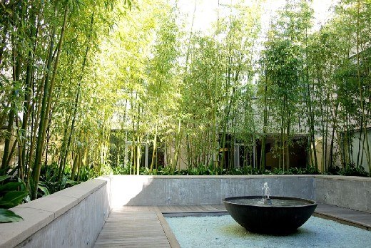 fontaine design bambou décoratif