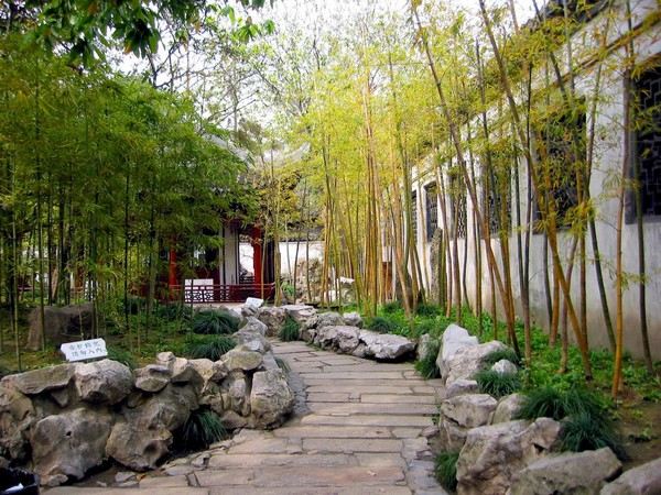 bambou décorant jardin temple