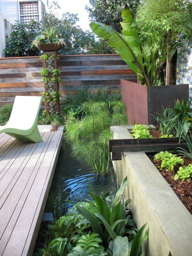 déco jardin bassin eau plante aquatique aménagement extérieur déco plante