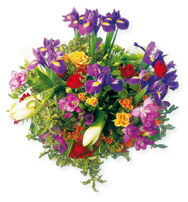 bouquet iris de Hollande