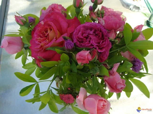 bouquet roses magnifique