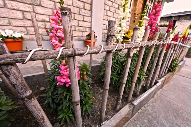 clôture de jardin originale branche bois idée aménagement extérieur jardin fleurs protection
