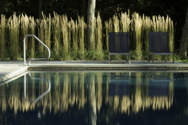 clôture jardin grillage végétal piscine extérieur intimité 