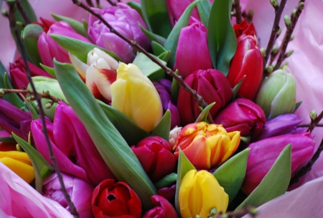 decoration fleurs tulipes violet