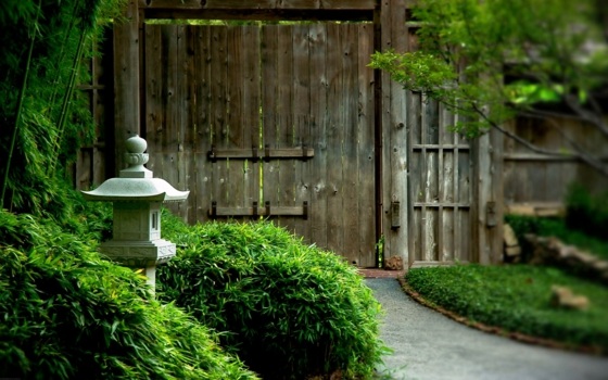 décoration jardin extérieur japonais idee