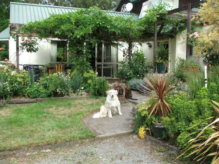 petit jardin tropical chien