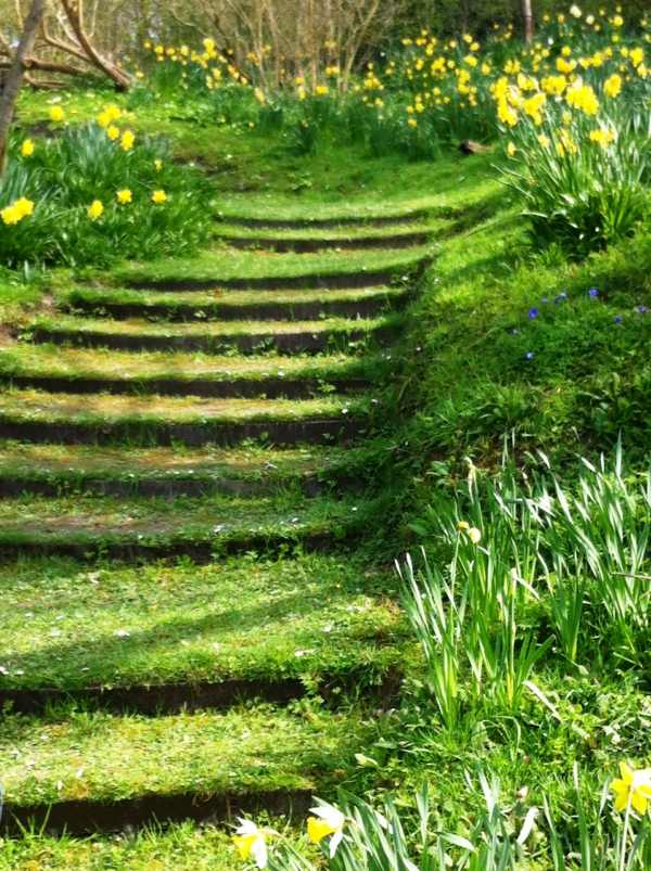 escalier jardin deco pelouse