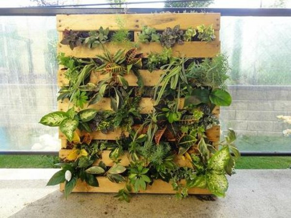 idée originale plante idée rangement meuble jardin pas cher 