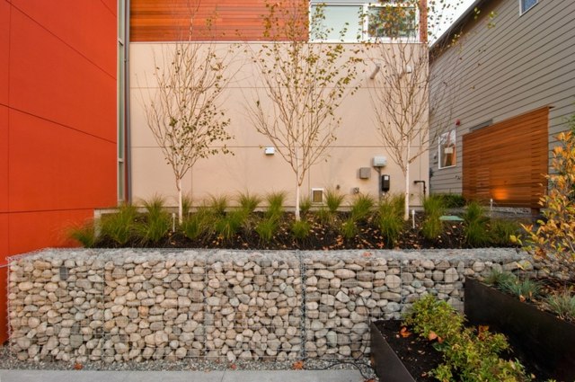 jardin clôture espace extérieur zone urbaine pierre arbre pot de fleurs
