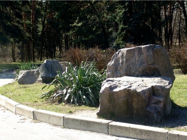 grosse pierre idée déco jardin aménagement originale plante 