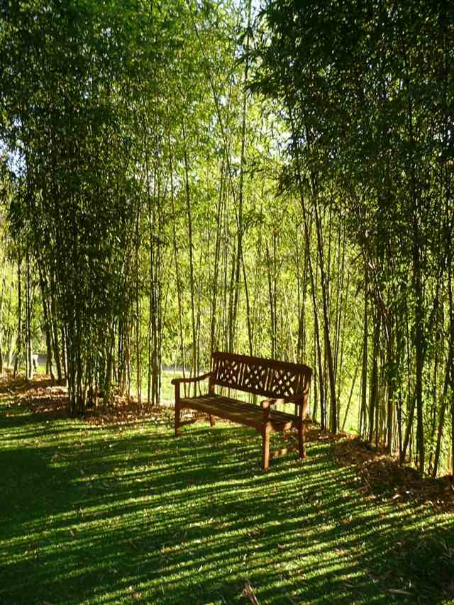 bambou jardin barrière anti rhizome 