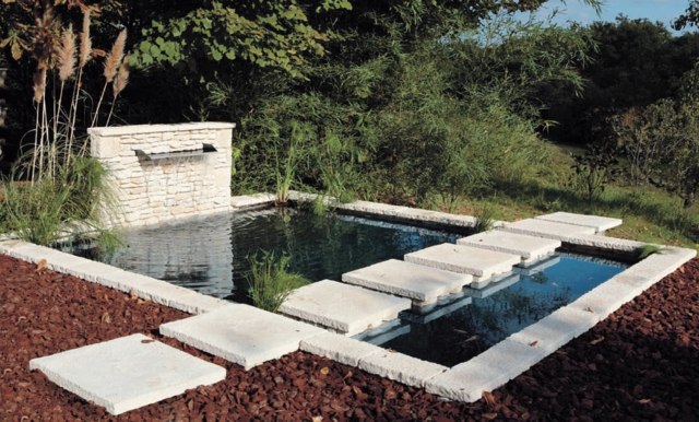 chemin de jardin en pierre idée originale bassin d'eau 