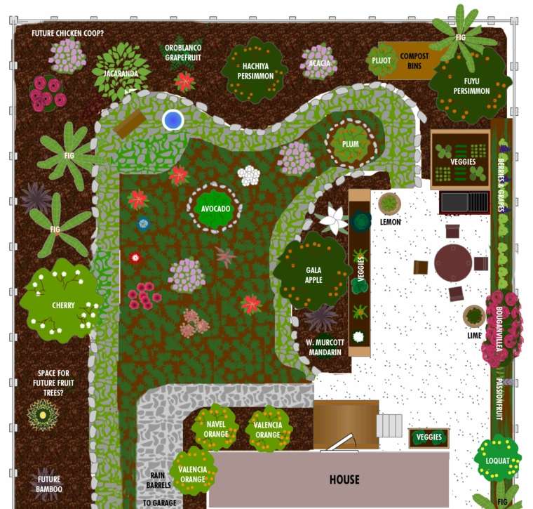 jardin plan de plantation végétation dessin