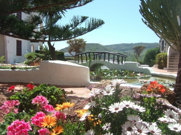 idee decoration jardin espagnol