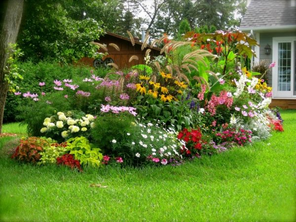 idee decoration jardin plantes fleurs