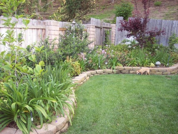 idee jardin moderne pelouse