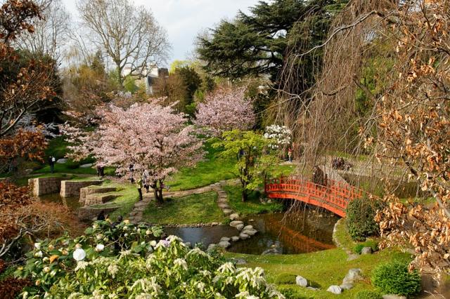 jardin paysager pont arbre japonais aménagement