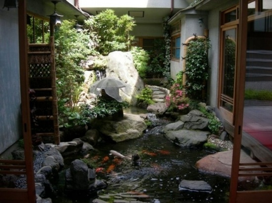 jardin aquatique design