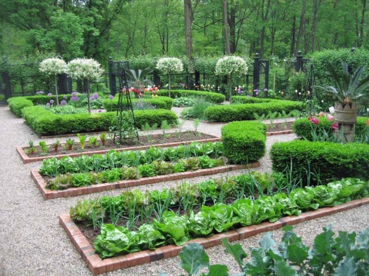 aménagement jardin légumes arbres grand jardin 
