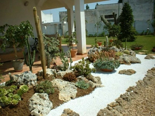 jardin rocaille cactus