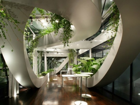 jardin intérieur design moderne
