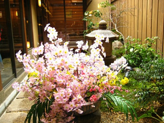 jardin japonais intérieur 