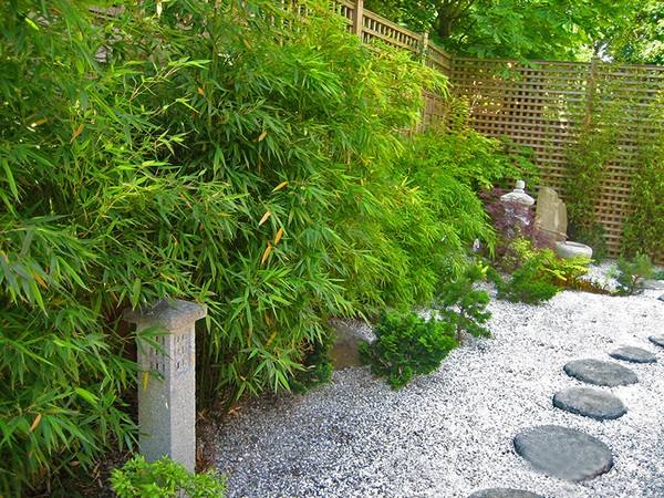 jardin japonais traditionnel 