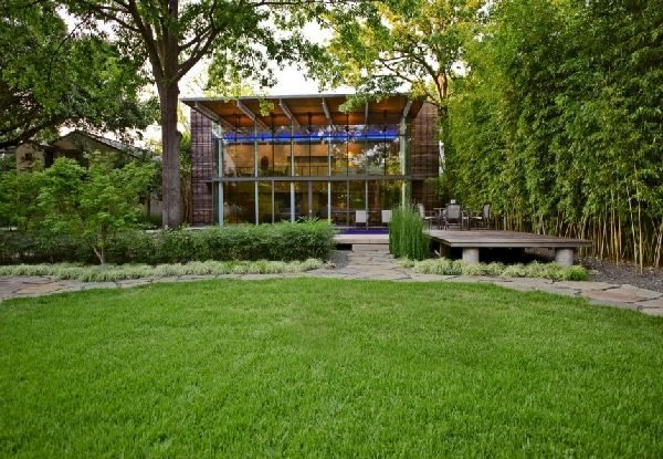 jardin moderne minimaliste pelouse