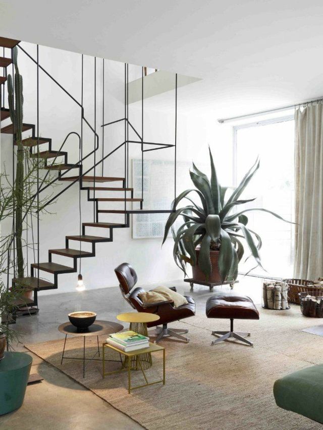 maison design minimaliste plantes interieur
