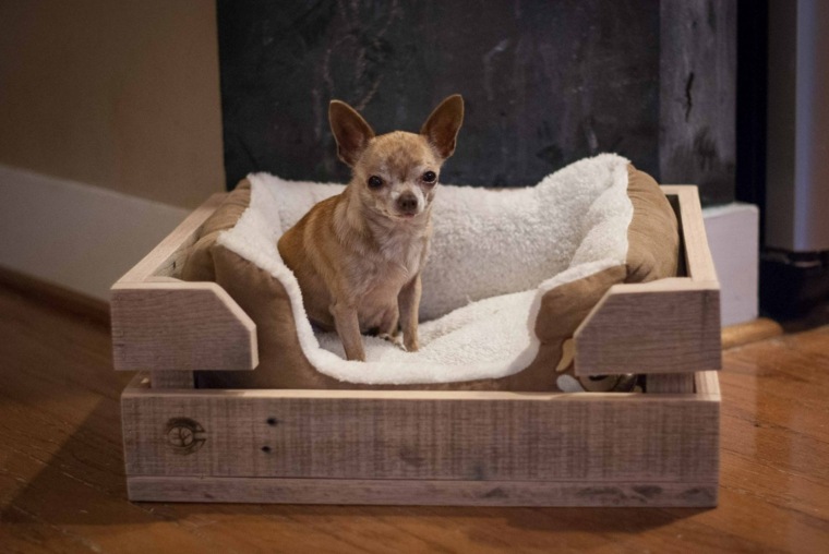 mobilier pas cher lit chien