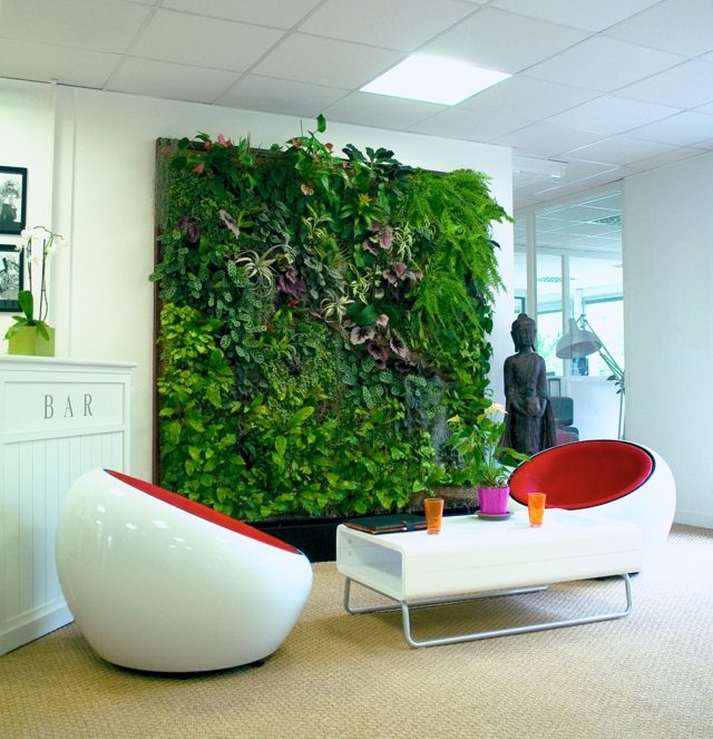 mur plantes vertes maison moderne