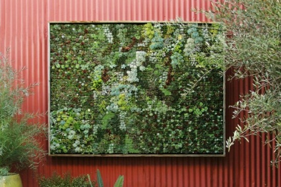 mur vegetal design interessant