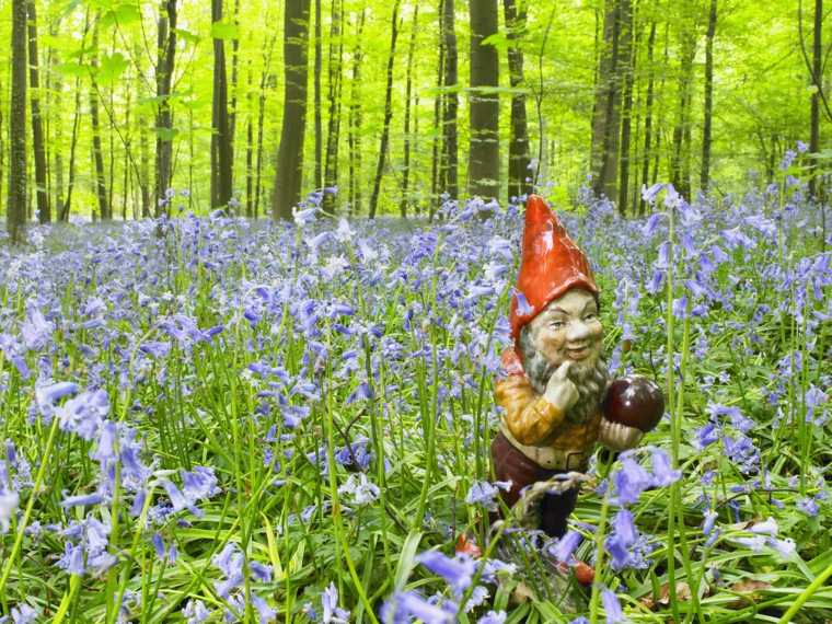 Garden gnome in the woods