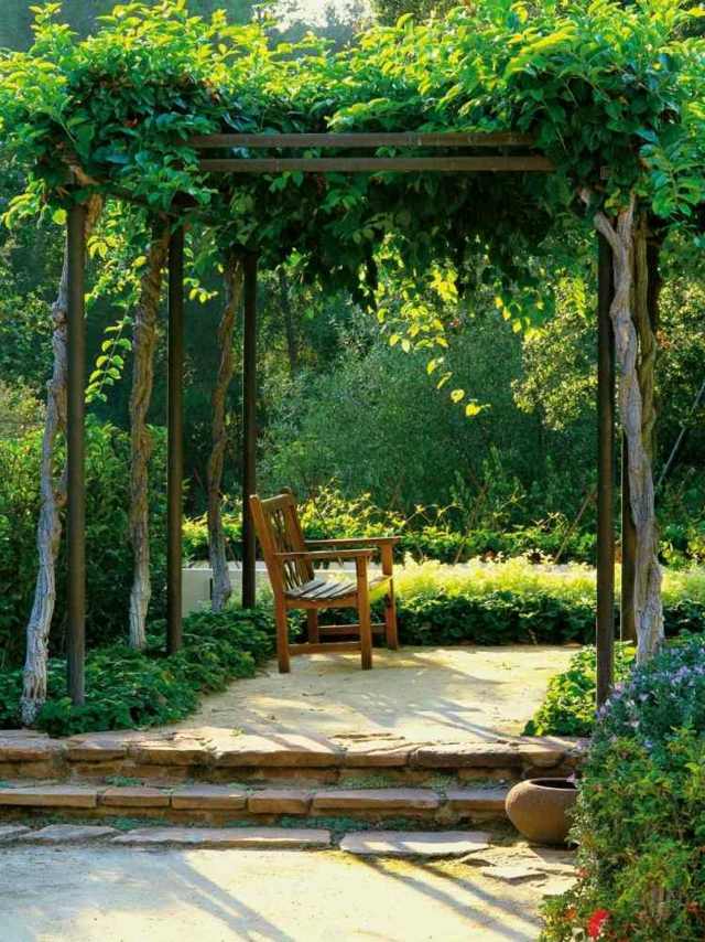 pergola bois banc plantes grimpantes jardin
