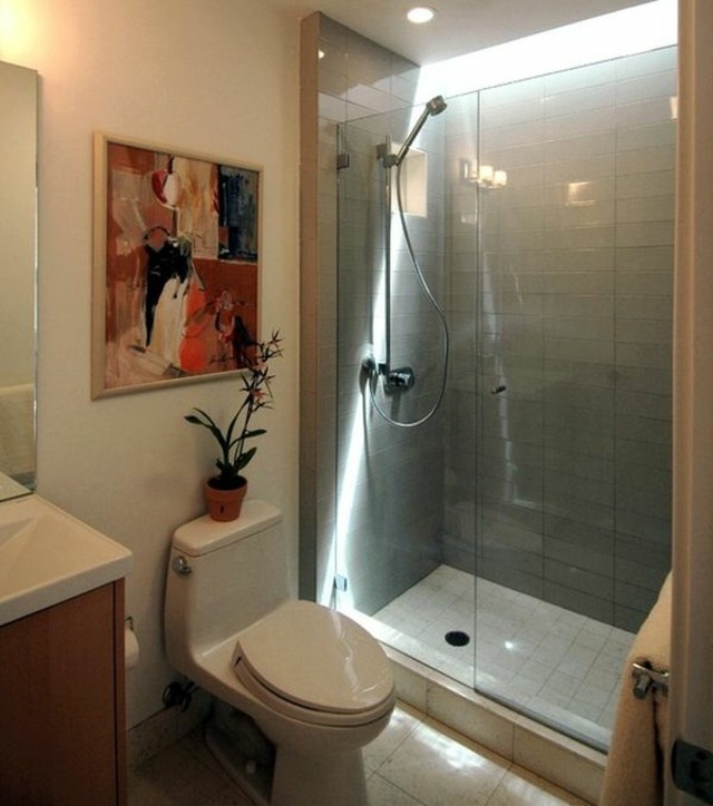 petite salle de bain idée aménagement cabine de douche en verre tableau plante toilettes