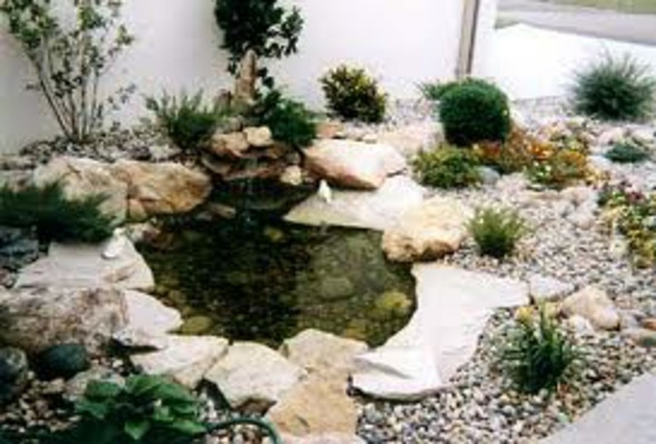 rocaille jardin etang eau