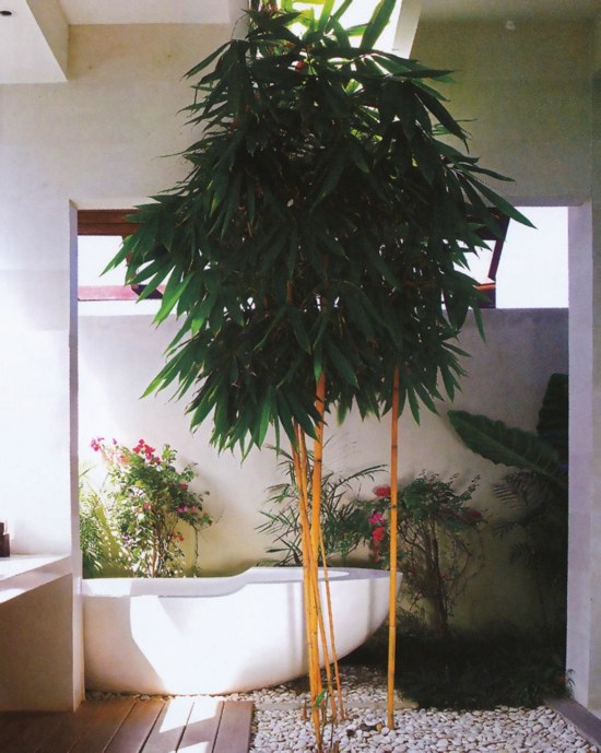 salle bain interieur jardin