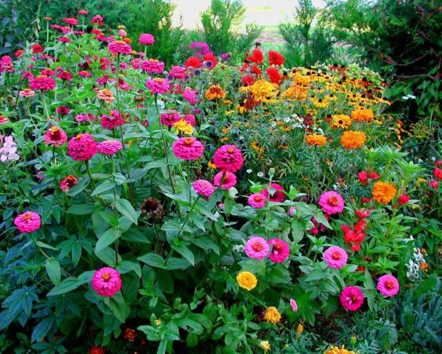 jardin paysagé idée aménagement fleurs plantes déco 