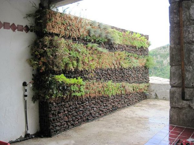 superbe mur végétal qui alterne plantes avec pierres
