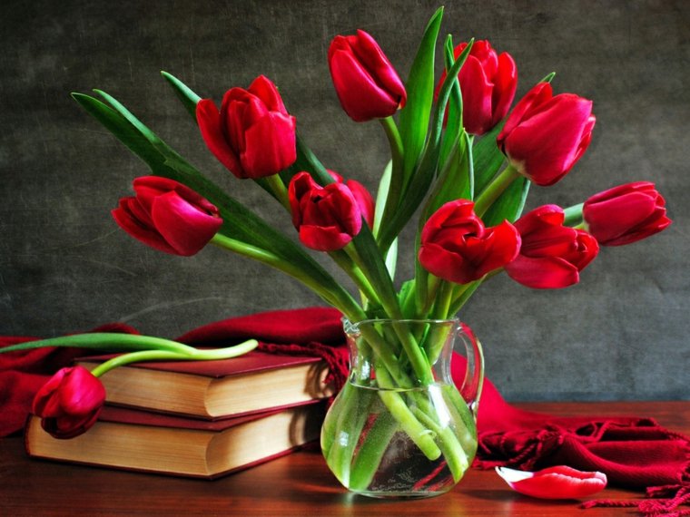 tulipes rouge bouquet fleurs