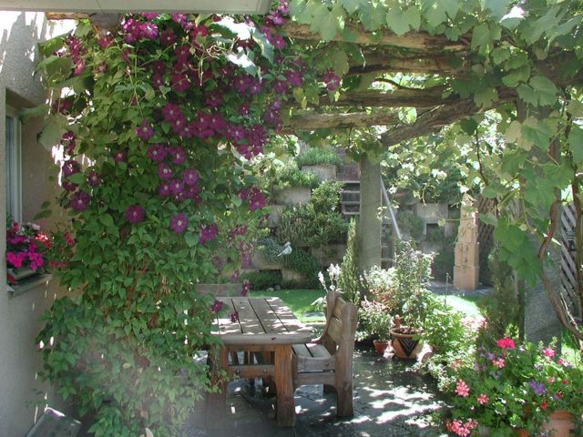 zoom pergola table bois jardin