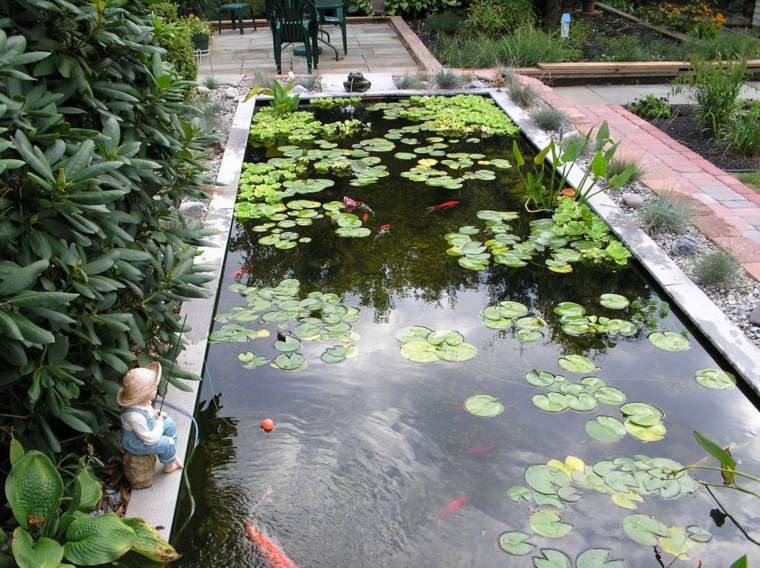 bassin jardin zoom poissons